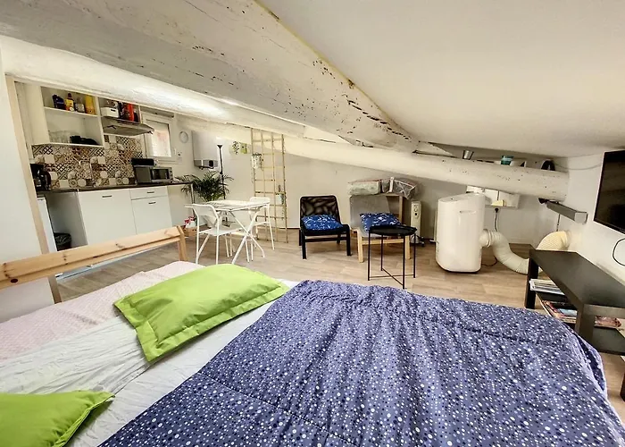 St Louis Mansarde Atypique Climatise 公寓 *