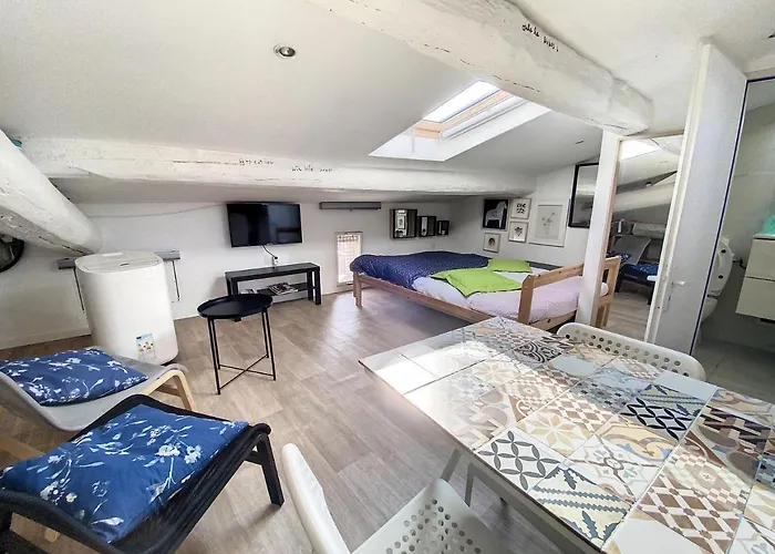 St Louis Mansarde Atypique Climatise 公寓 *